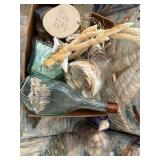 Beach Shell Decor Lot