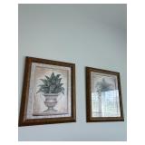 Pair of Framed Vintage Botanical Prints