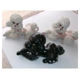 LARGE PODLE COLLECTION