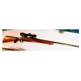 RUGER MKII .223 RIFLE