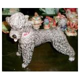 POODLE