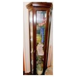 CURIO CABINET