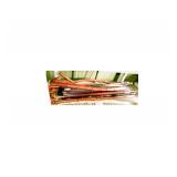 WALKING STICKS