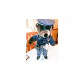 MSP BEAR