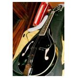 ROUGE MANDOLIN