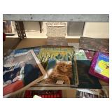 Vtg books and record