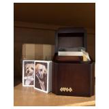 Bombay NIB dog bridge set