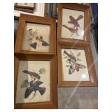 For picture frames with bird prints