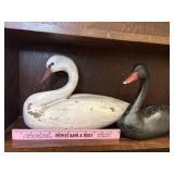 Black and white swans