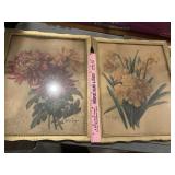 Antique botanical prints