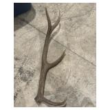 Large 4 tip elk antler 28 inch. Great knife