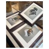 3 framed duck prints