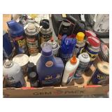 Box lot, WD-40, bug killer, etc.