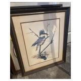 Signed and numbered the eastern belted kingfish