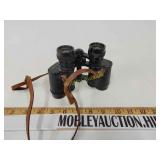 Monte Carlo binoculars