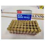 22lr mini mag ammo