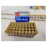 22lr mini mag ammo