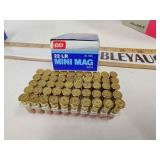 22lr mini mag ammo