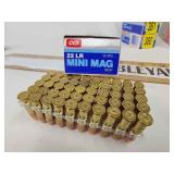 22lr mini mag ammo