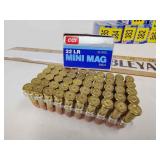 22lr mini mag ammo
