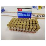 22lr mini mag ammo