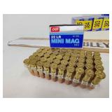 22lr mini mag ammo