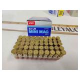 22lr mini mag ammo