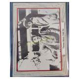 Rare vintage 1975 ty Cobb card mint condition