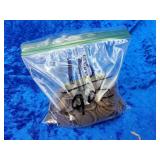 1lb 9oz Indian Pennys