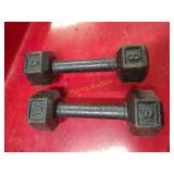 2 8 lb dumbbell