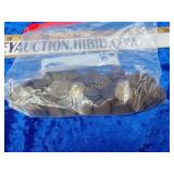 1lb 7oz Indian penneys