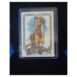 Livvy Dunne Allen and ginter