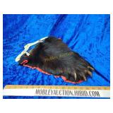 Taxidermy bear paw with claws check local laws