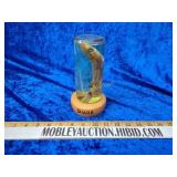 Shark taxidermy in fluid no shipping