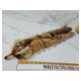 Raccoon hide
