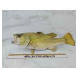 Bass taxidermy