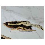 Skunk hide