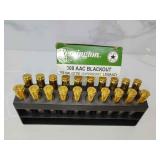300 AAC blackout ammo