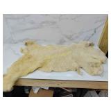 Sheep hide