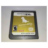 Nintendo DS Game