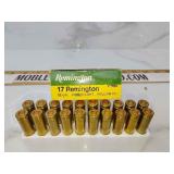 17 Remington rifle ammo