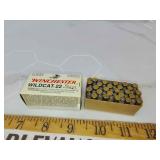 Winchester Wildcat 22lr