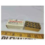 Winchester Wildcat 22lr