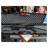 Olympic arms AR-15 with case