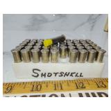 38spl shotshell