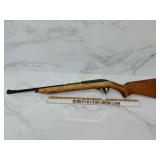 Glenfield model 75.    22lr