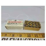 Winchester Wildcat 22lr