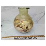 Huge glass jar full sea shells