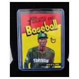 Elly de La Cruz 2022 minor league card