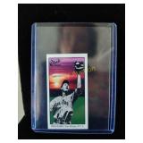 Ted Williams mini